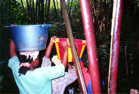 Sisters preparing to walk with buckets of water.