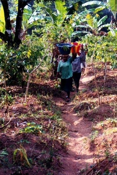 Sisters carrying buckets of water up hill.